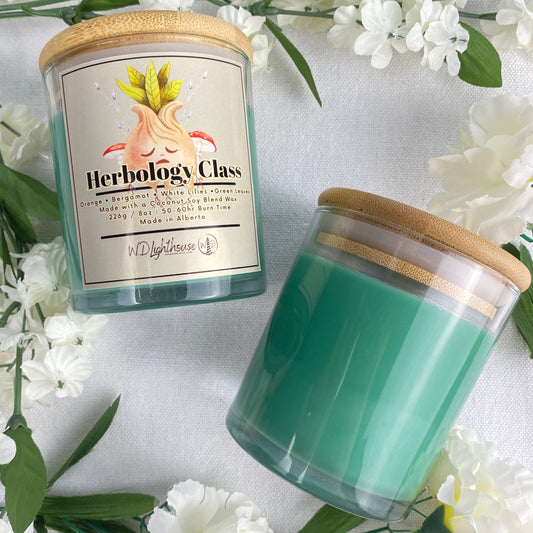 Herbology Class | Fiction Bookish Coconut Soy Candle & Waxmelt