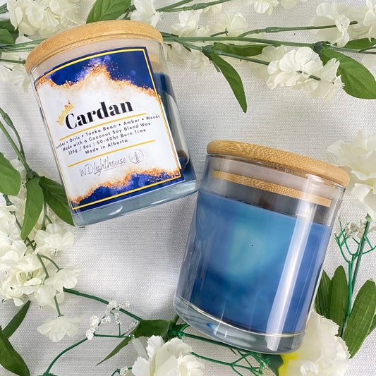 Cardan | Fantasy Bookish Coconut Soy Candle & Waxmelt