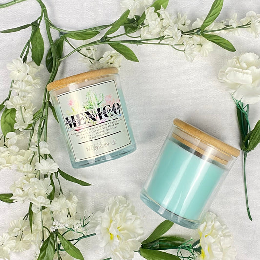 MEXICO • Books Beyond Boarders | Bookish Travel Coconut Soy Candle & Waxmelt